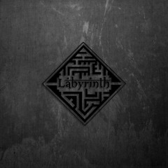 Дима Рожков