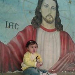هاني غالي