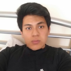 Daniel Sailema Barreros