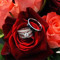 reda rose