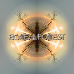 Boreal Forest