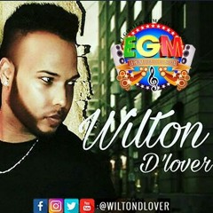 WiltonD'lover 29