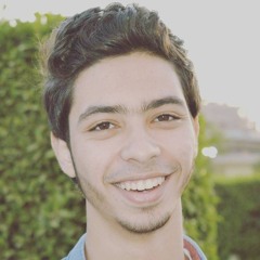 Ahmed Mokhtar