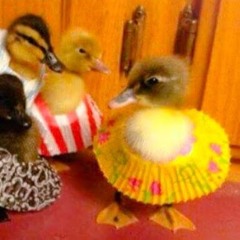 Janice Louise Miller