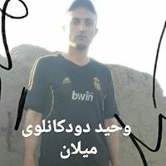 وحیدمیلان