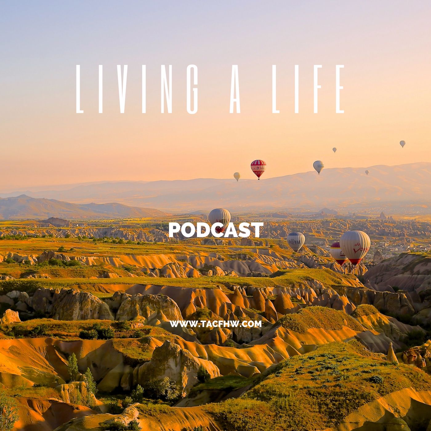 The American Center for Holistic Wellness