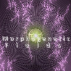 Morphogenetic Fields