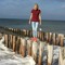 Ilse van Brugge