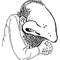 User 192787136