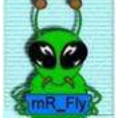 mR Fly