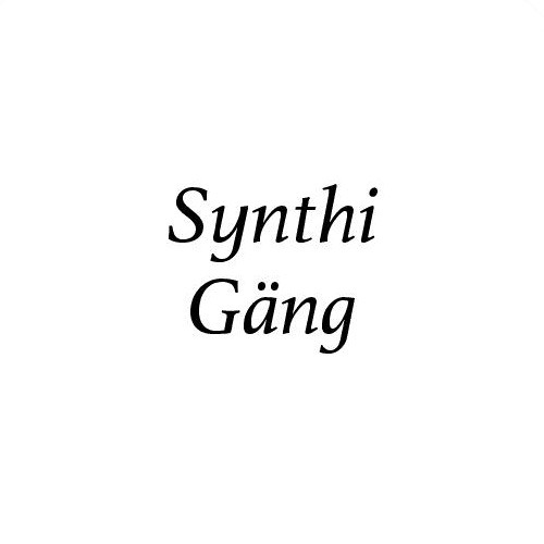 SynthiGäng’s avatar