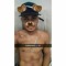 Leo Rodrigues