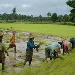 ကို မင္း