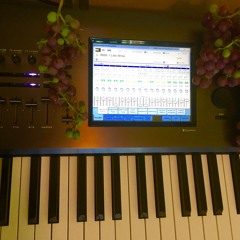 70's Songwriter (GregC)