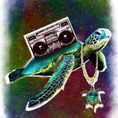 Turtle from Space