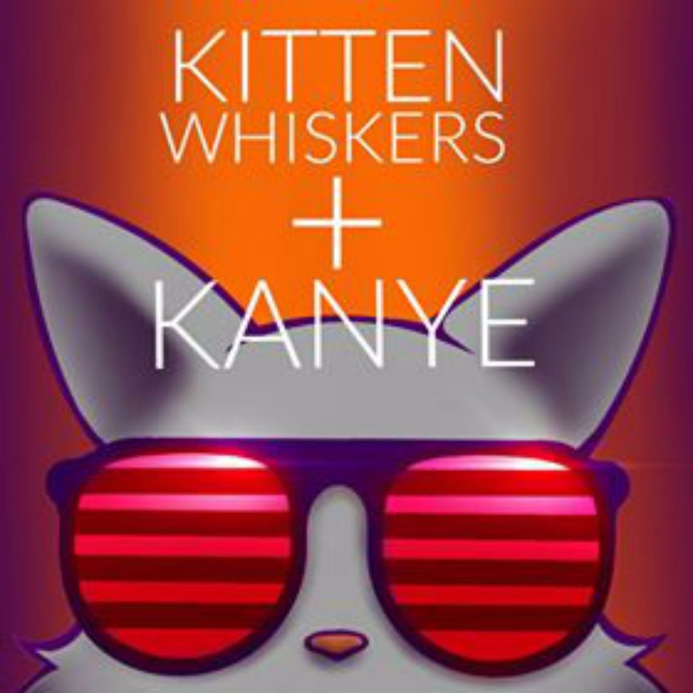 Kitten Whiskers and Kanye