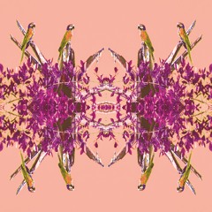 Camila Burbano De Lara