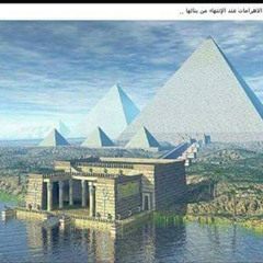 DrMahmoud Elhoot