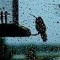 RainThroughTheWindow