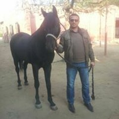 كرم مطاوع