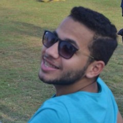 Mahmoud AbdeLbadea