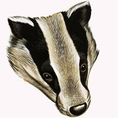 I am Badger