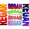 ARegan13