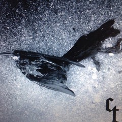 Old Chipped Teeth Demos