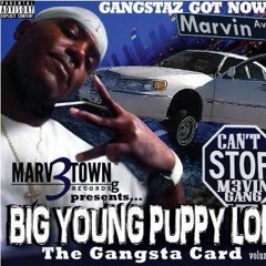 The Official Big Young Puppy Lok