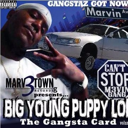 The Official Big Young Puppy Lok's 
