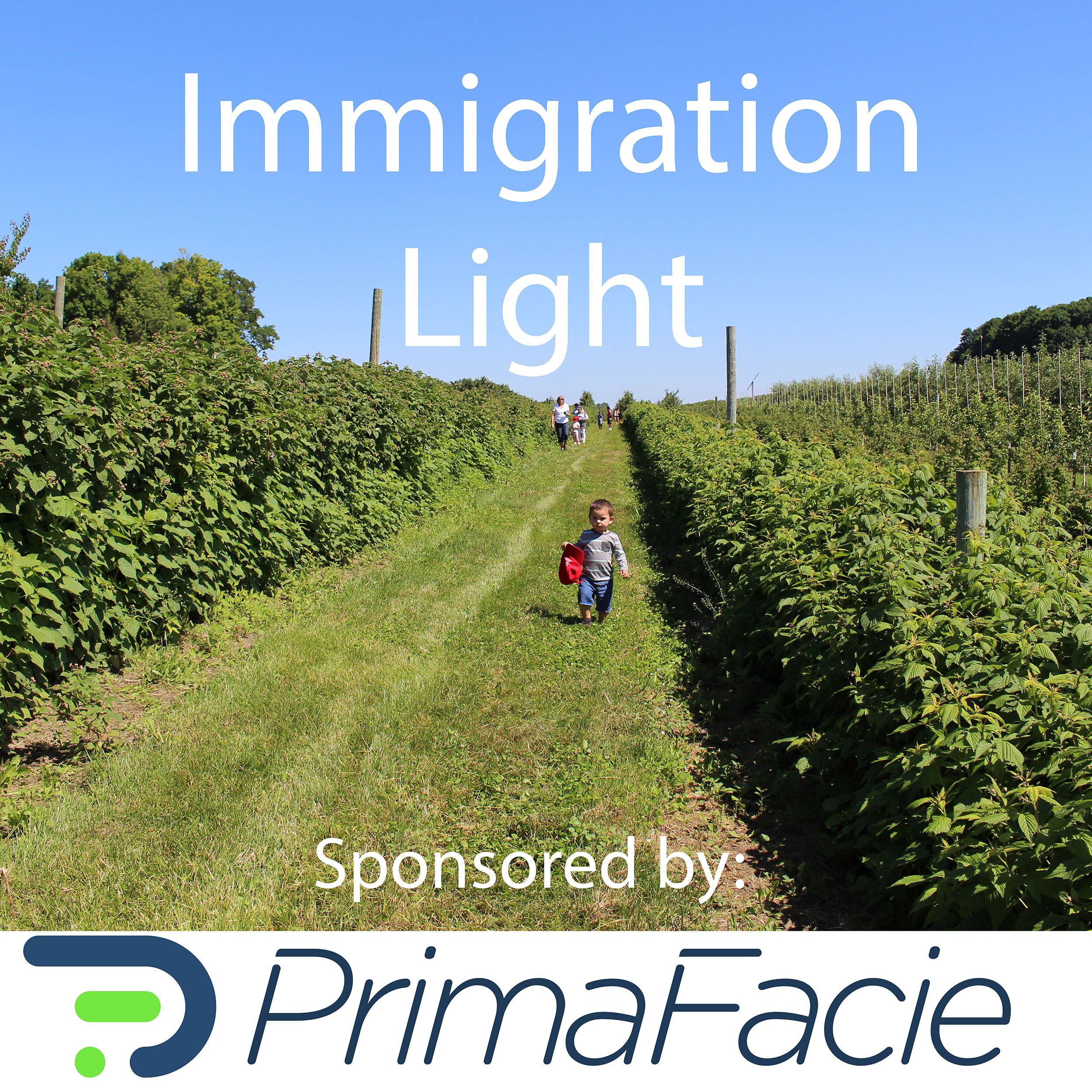 Immigration Light
