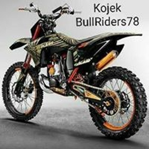 Stream Bull Riders music | Listen to songs, albums, playlists for free ...