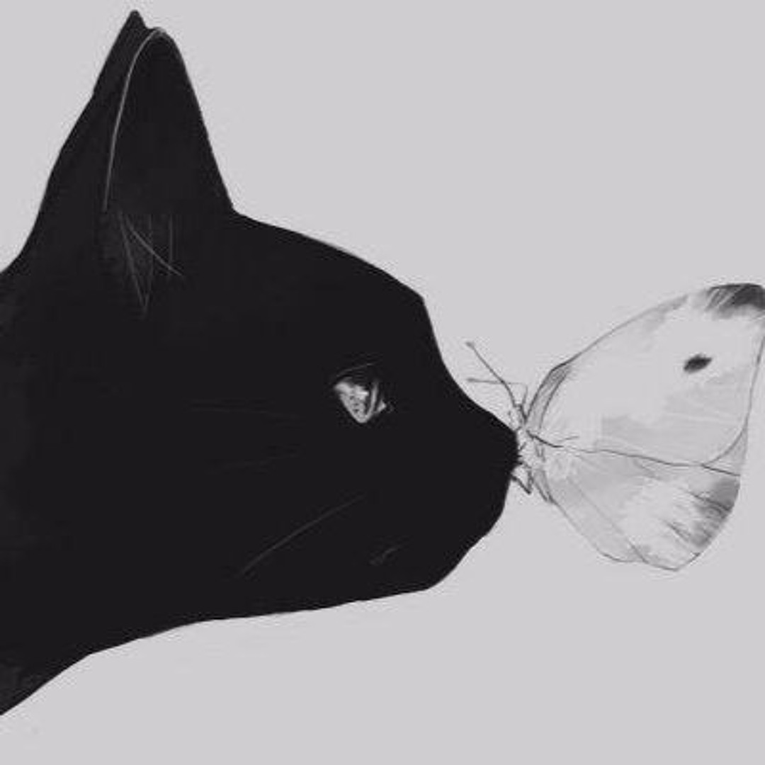 Stream Kuroneko 黒猫 Vocaloid Covers music | Listen to songs