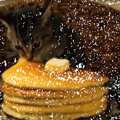 Definitely Not Kitty