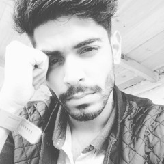 Robin Singh Rajput