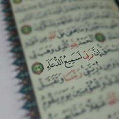 فاتن فوزي