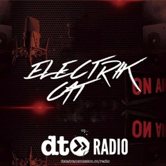 #CatCast / The Electrik Cat Show