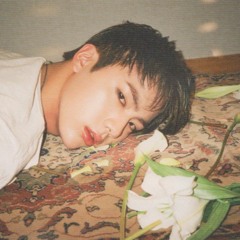 bellebangtan