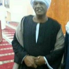 Sayed Saleh