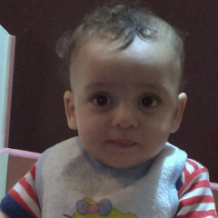 Kamel Ahmed