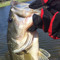 freestyle fisher