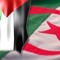 AbdelKader DZ