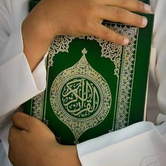 Mahmoud ElGohary6