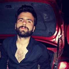 Hany Saqr