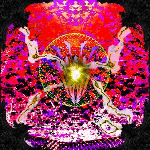 WHAT ARE YOU DOING IN MY SWAMP