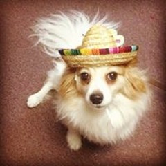 Natalie Anne Fochtman