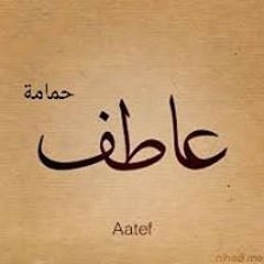 عاطف حمامة
