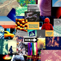 Elephants In A High Tree