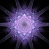 Blotter