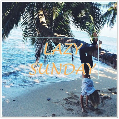 Lazy Sunday Inc’s avatar